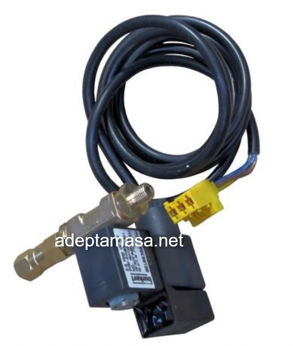 Клапан газовый растопочную к горелке AE434X digital арт.7747018644